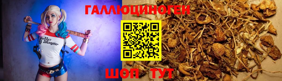Галлюциногенные грибы GOLDEN TEACHER  Вход с VPN  Галлюциногенные грибы мухоморы  Кропоткин 
